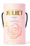 Juliet Bib - Rose 2022 (1500)
