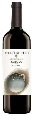Attilio Ghisolfi - Barolo Bussia Bricco Visette 2019 (750ml) (750ml)