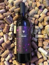 Barberani - Polago Umbria 2023 (750ml) (750ml)