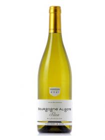 Vignerons de Buxy - Bourgonge Aligote 2022 (750ml) (750ml)